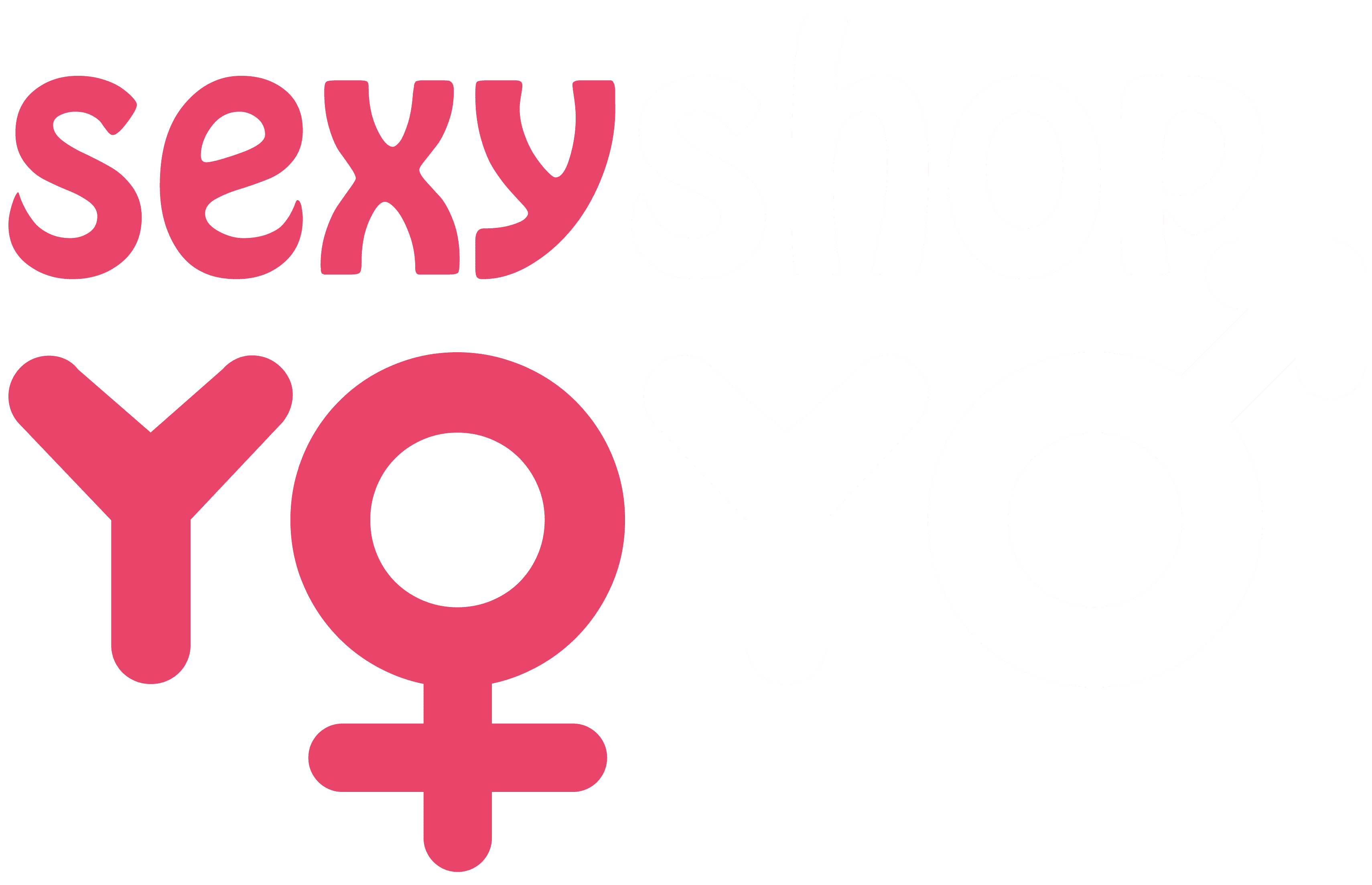 logo YoYo sexy shop como